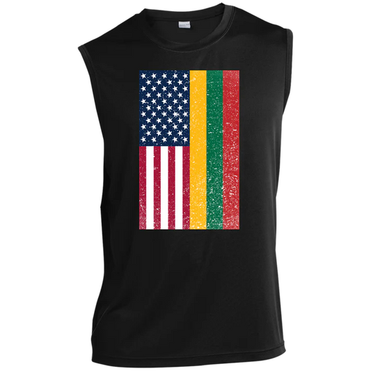 USA Lithuania Flag