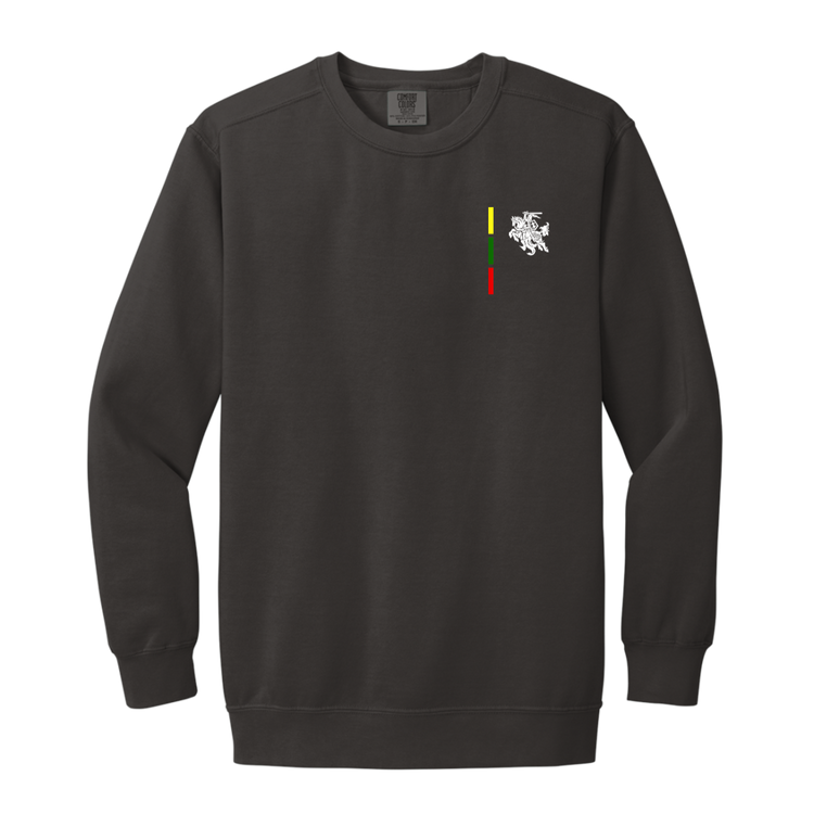 Warrior Vytis - Men/Women Unisex Soft-Washed Crewneck Sweatshirt