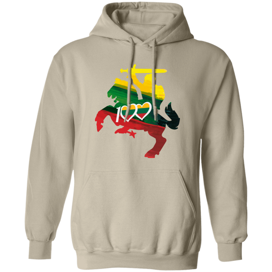 Lithuanian Knight 100 - MenWomen Unisex Comfort Pullover Hoodie - Lithuania Strong
