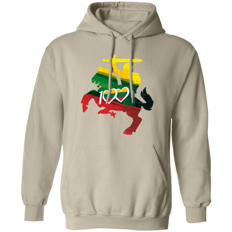 Lithuanian Knight 100 - MenWomen Unisex Comfort Pullover Hoodie - Lithuania Strong