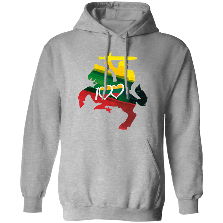 Lithuanian Knight 100 - MenWomen Unisex Comfort Pullover Hoodie - Lithuania Strong