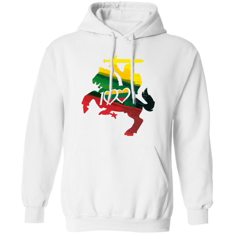 Lithuanian Knight 100 - MenWomen Unisex Comfort Pullover Hoodie - Lithuania Strong