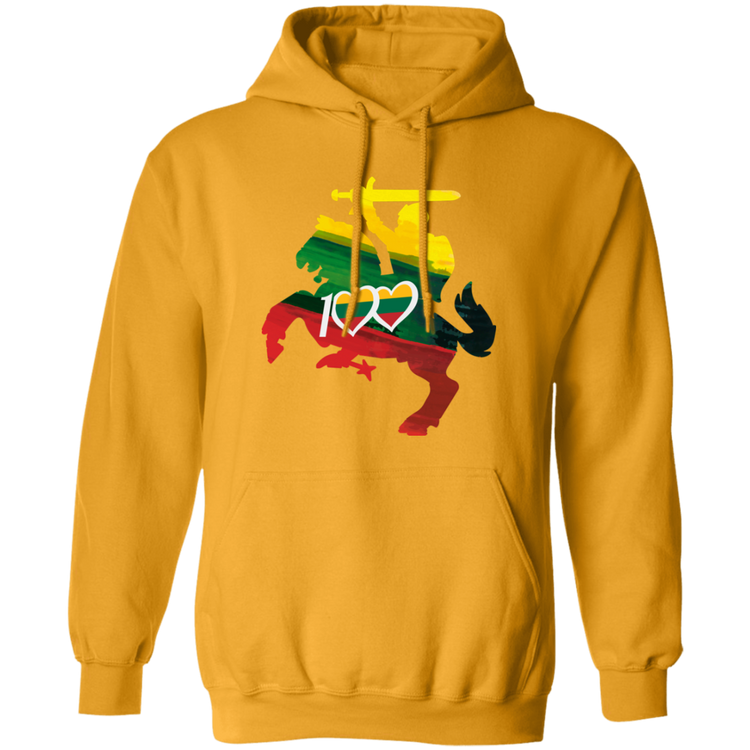 Lithuanian Knight 100 - MenWomen Unisex Comfort Pullover Hoodie - Lithuania Strong